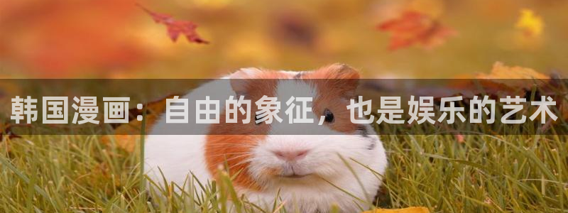 韩国漫画免费观看网站